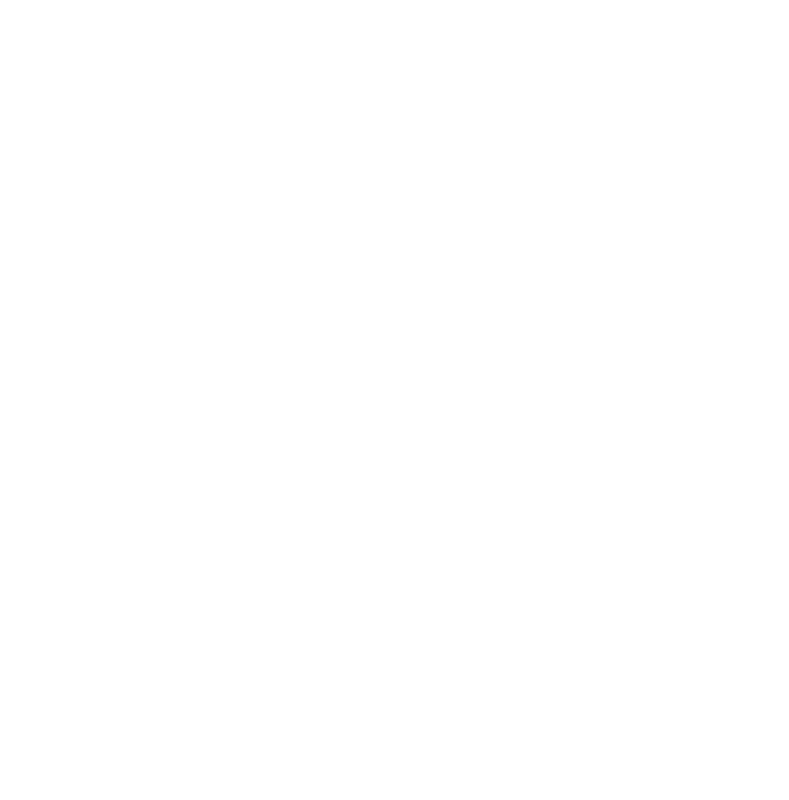 villaggio_logo_white